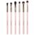 EVRCHGIEA Eye Brush Set Makeup Eyeshadow Brush Set Makeup Blender Brush Set Eye Brush Sets Blending Brush Eye Brush Set Makeup Brush Set Eyeshadow Brush (Pink 6)