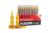 Placenta Placo Ampullen, gegen Haarausfall, intensive Behandlung, 12 x 10 ml