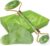 LAC FOR YOU Gua Sha Stone and Face Roller – Skincare Tools Face Massage – Jade Roller Face Massager Face Stone