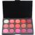 FantasyDay Professionelle 15 Farben Lip Gloss Palette Makeup Kit – Ideal für Sowohl den Professionellen als auch Persönlichen Gebrauch