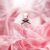 Christina Aguilera – Definition Eau de Parfum, leichtes Parfüm, mit Mandarine, Orchidee und Amber, blumige und zitrische Noten, erfrischender Duft, ideal für den Sommer, Parfüm für Damen